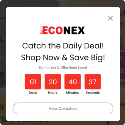 econex-modal-offer